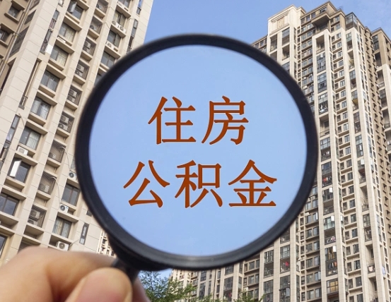 新泰退休后查不到公积金明细了吗（退休后公积金查询不到原因）